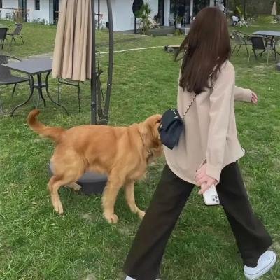 来自玛茹西亚的信