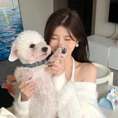 与鲨同游